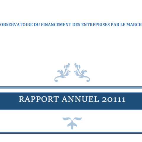 Rapport annuel 2011