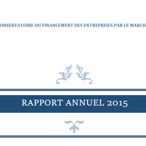 Rapport annuel 2015