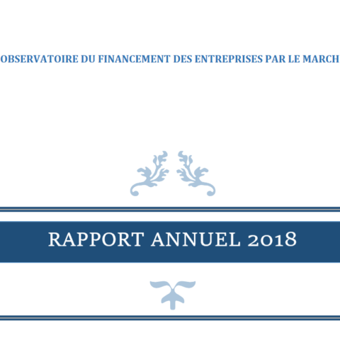 Rapport Annuel 2018