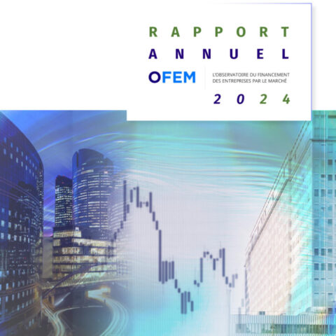 Rapport Annuel 2024 de l’OFEM
