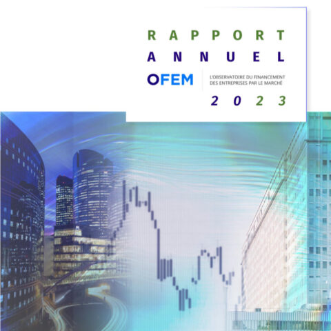 Rapport Annuel 2023 de l’OFEM